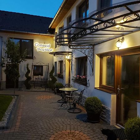 Conacul Poetilor Hotel Gura Râului Exterior foto