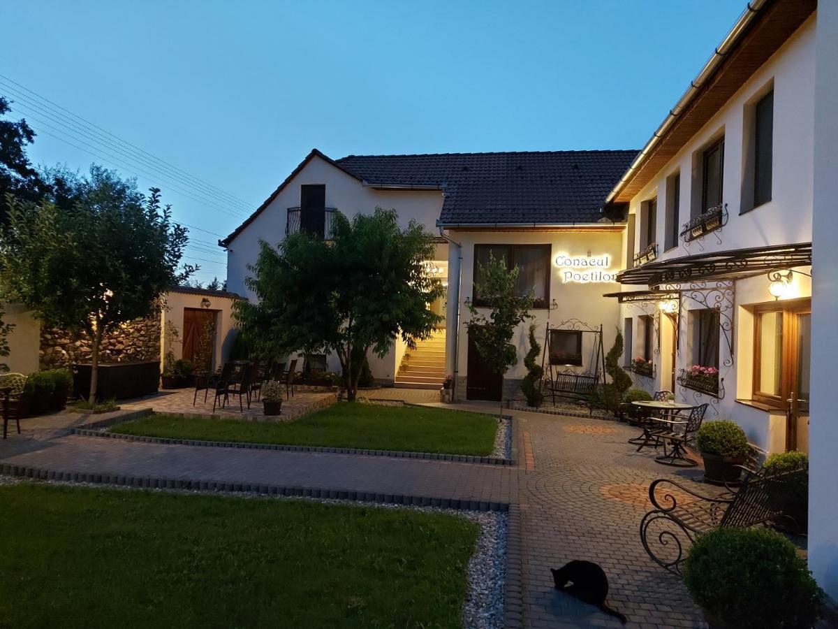 Conacul Poetilor Hotel Gura Râului Exterior foto